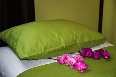Bett-Orchidee
